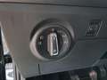 SEAT Ibiza 1.0 tgi Reference 90cv Grigio - thumbnail 10