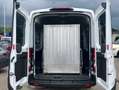 Ford Transit 310 L3 2.0 TDCi Autom. Rollstuhlrampe Weiß - thumbnail 7