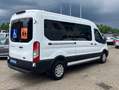 Ford Transit 310 L3 2.0 TDCi Autom. Rollstuhlrampe Weiß - thumbnail 5