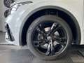 Volkswagen Tiguan R-Line 2.0 TDI DSG 4Motion *Matrix-LED, Panorama, Blanc - thumbnail 5