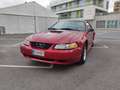 Ford Mustang Deportivo Automático de 3 Puertas Rojo - thumbnail 21