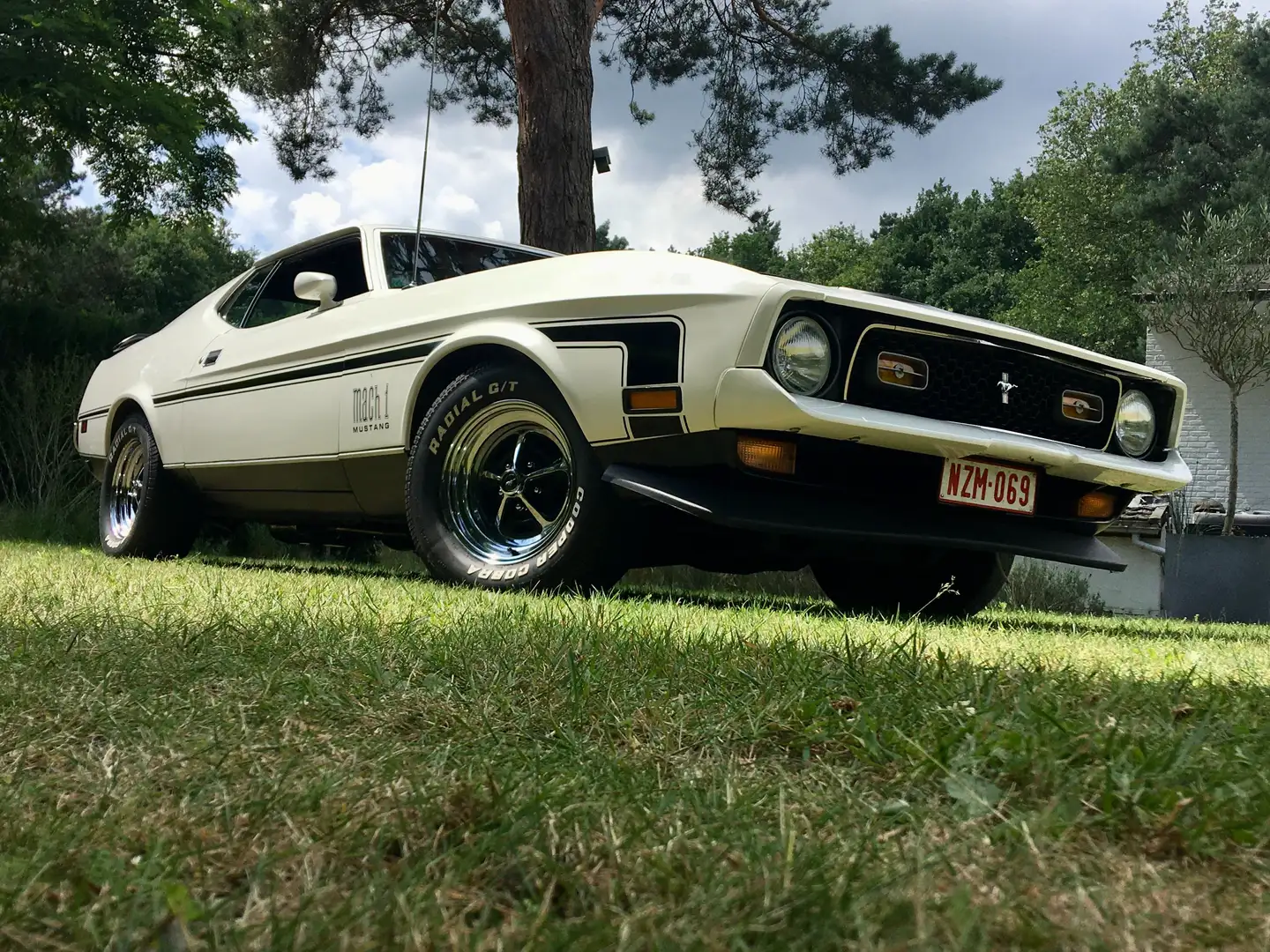 Ford Mustang Mustang Mach 1 Wit - 2
