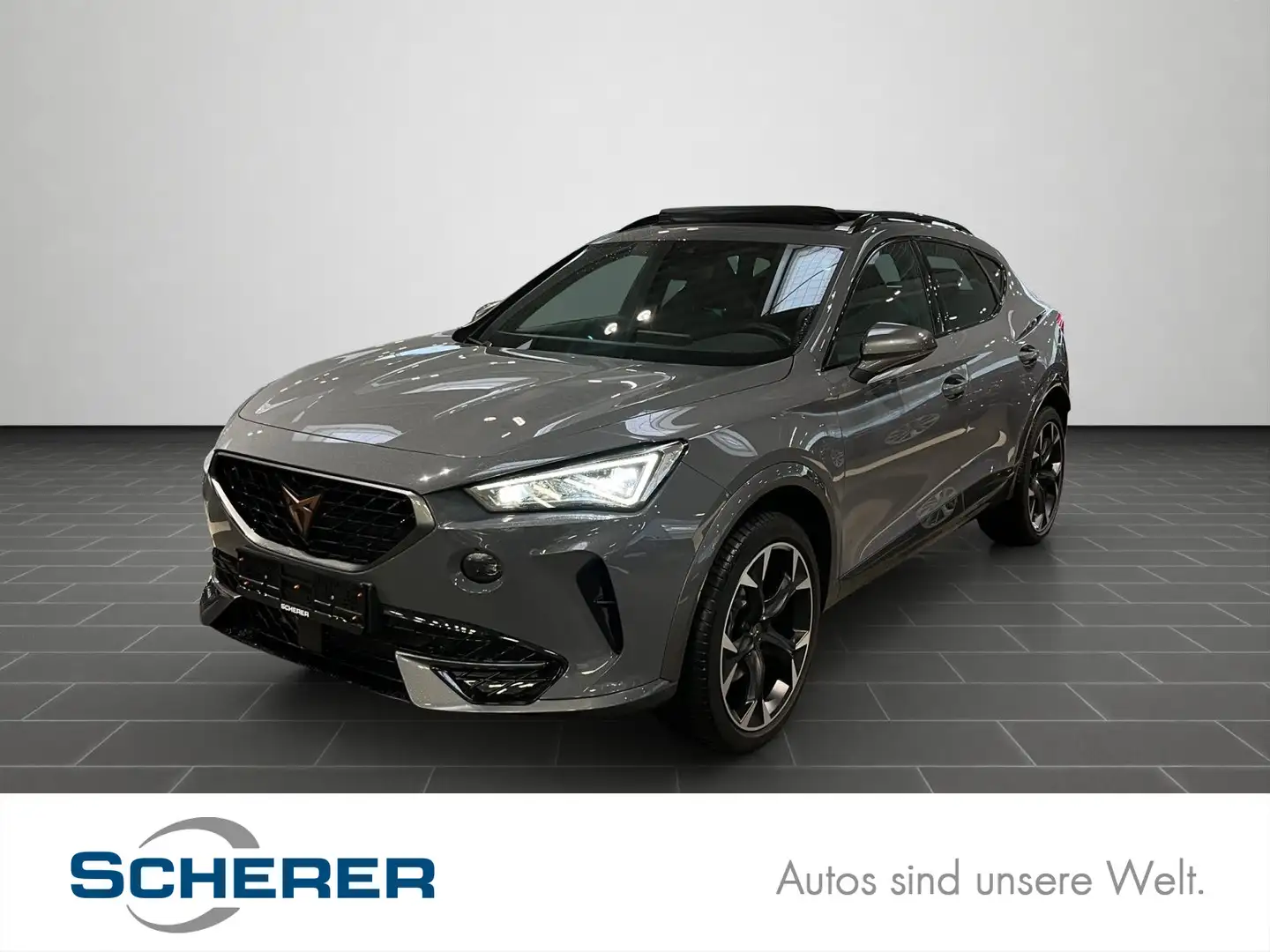 CUPRA Formentor 2.0 TDI Gris - 1