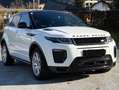 Land Rover Range Rover Evoque Pure Weiß - thumbnail 1