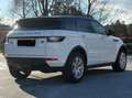 Land Rover Range Rover Evoque Pure Weiß - thumbnail 5