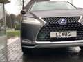 Lexus RX 450h AWD Luxury Line | Eerste eigenaar, Head Up Display Grijs - thumbnail 9