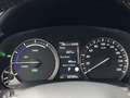 Lexus RX 450h AWD Luxury Line | Eerste eigenaar, Head Up Display Grijs - thumbnail 39