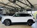 Mercedes-Benz GLB 250 4Matic AMG Line*PANO*360°KAM*LED*BURMEST Weiß - thumbnail 3