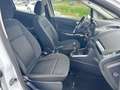 Ford EcoSport 1.0 EcoBoost Plus Bianco - thumbnail 11