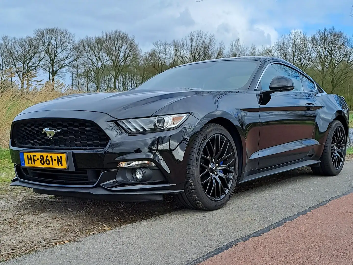 Ford Mustang EcoBoost, Orig. NL-auto + dealer onderhouden Zwart - 1