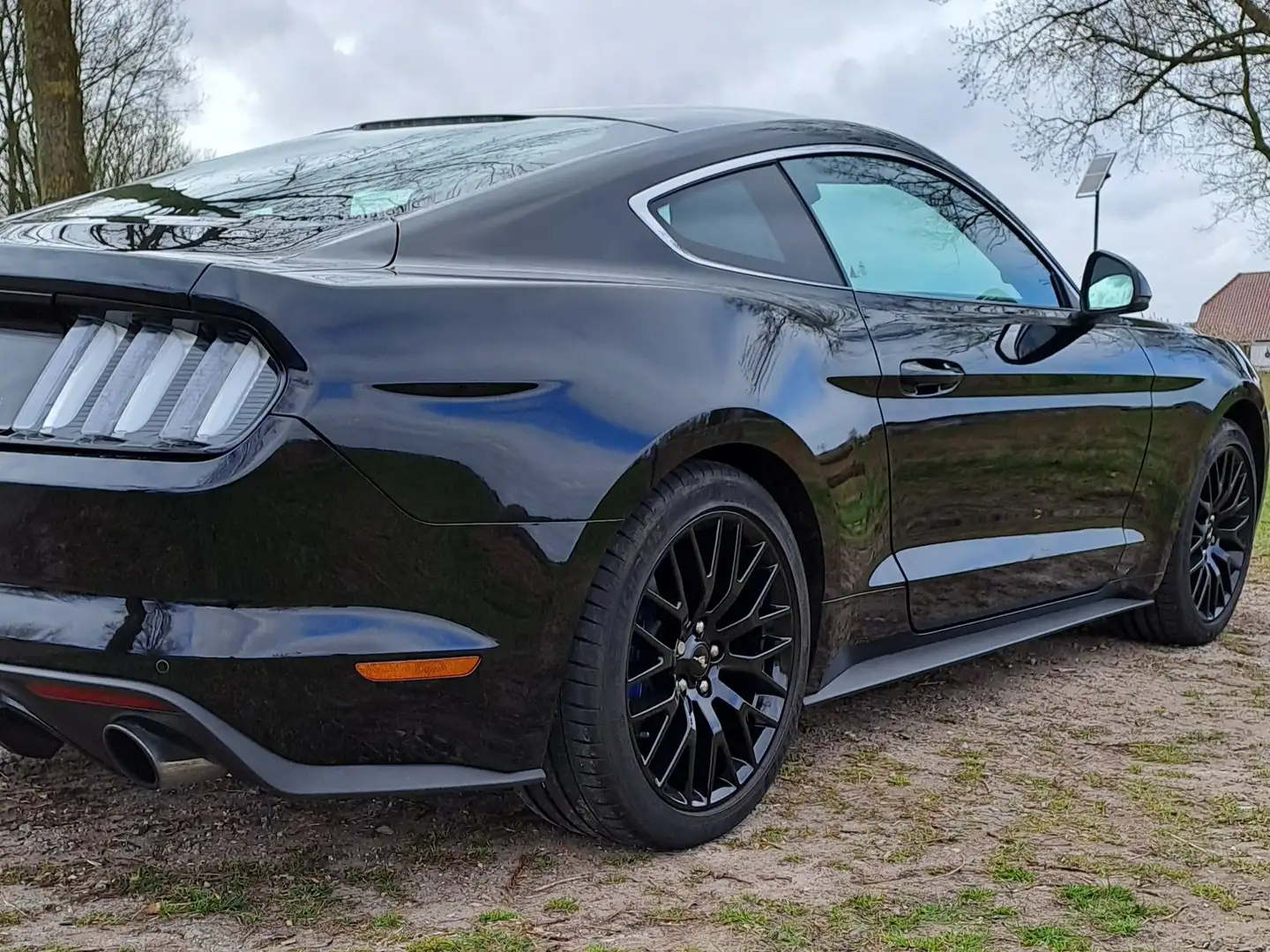 Ford Mustang EcoBoost, Orig. NL-auto + dealer onderhouden Zwart - 2