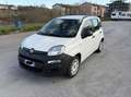 Fiat New Panda 900 benzina automatica euro6 - thumbnail 2