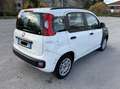 Fiat New Panda 900 benzina automatica euro6 - thumbnail 6