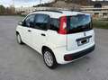 Fiat New Panda 900 benzina automatica euro6 - thumbnail 4