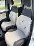 Fiat New Panda 900 benzina automatica euro6 - thumbnail 9