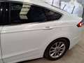 Ford Mondeo 2.0TDCI Titanium PowerShift 150 Blanco - thumbnail 5