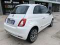Fiat 500 1.2 Sport 69cv - MERAVOGLIOSA !!! Bianco - thumbnail 3