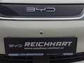 BYD Dolphin Comfort Beige - thumbnail 20