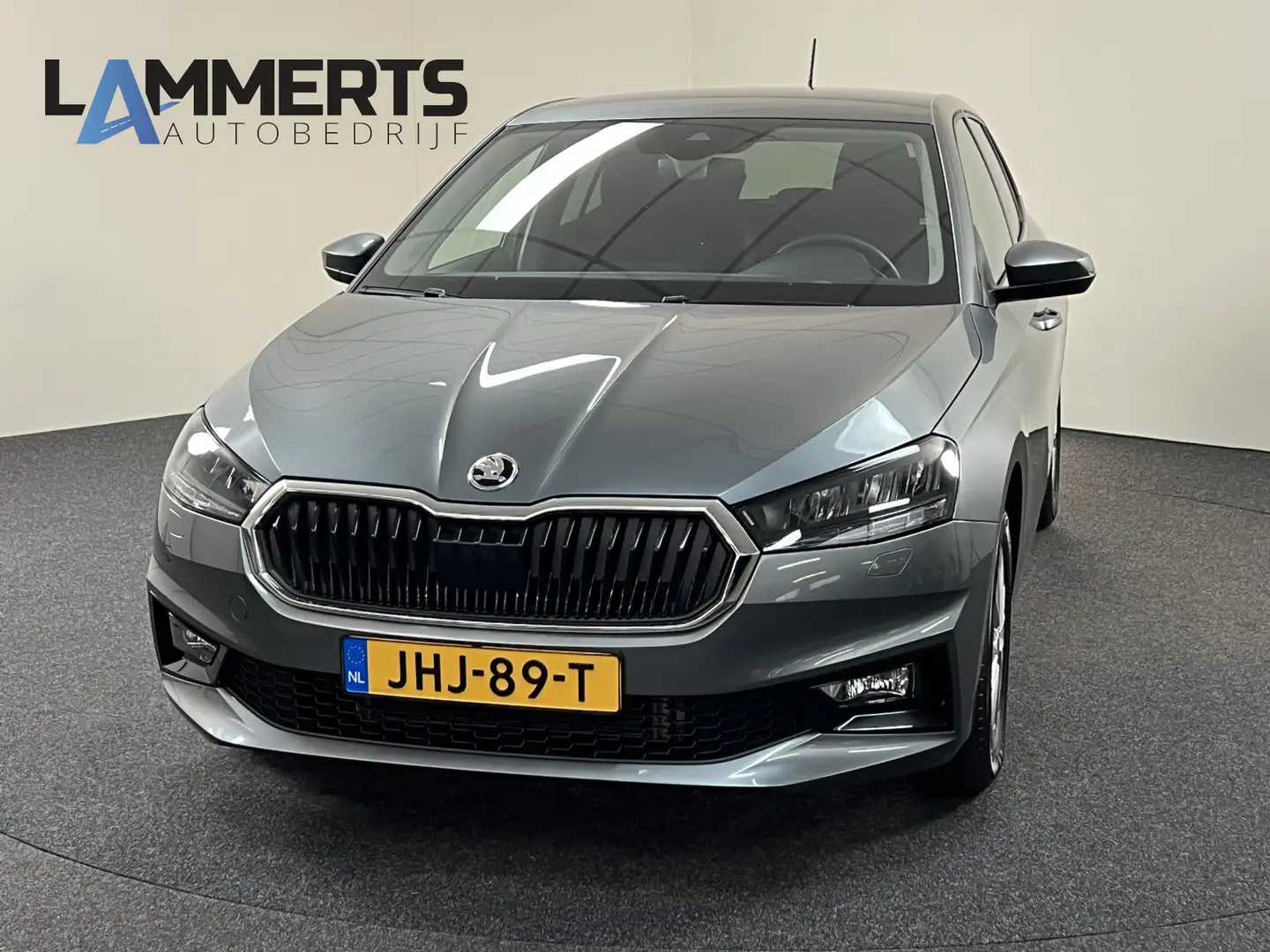 Skoda Fabia 1.0 TSI Selection 116 PK DSG Stoel & stuurverw. / Gris - 1