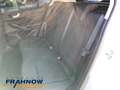 Ford Focus 1.0 EcoBoost MHEV Titanium 5-türig LED NAVI ACC SH Silber - thumbnail 10