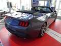 Ford Mustang Convertible GT 5.0 IACC*B&O*BLIS*CAM*LED Gris - thumbnail 6