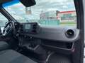 Mercedes-Benz Sprinter 317 CDI Lang SUPERHOCHDACH *1. Hand* Weiß - thumbnail 20