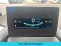 BMW i3 REX*NAVI*Hybrid*CAM*PDC*HU 09-2026* Blanco - thumbnail 11