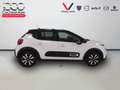 Citroen C3 1.2 PureTech S&S Max 83 Blanco - thumbnail 5
