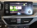 Skoda Kamiq 1.0 tsi Ambition 95cv Wit - thumbnail 18