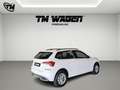Skoda Kamiq 1.0 tsi Ambition 95cv Wit - thumbnail 6