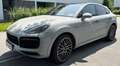 Porsche Cayenne Cayenne III Platinum Edition Aut. Platinum Edition Grau - thumbnail 1