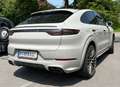Porsche Cayenne Cayenne III Platinum Edition Aut. Platinum Edition Grau - thumbnail 4