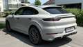 Porsche Cayenne Cayenne III Platinum Edition Aut. Platinum Edition Grau - thumbnail 3