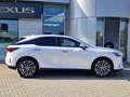 Lexus RX 450h + E-FOUR Executive Line ACC FLA HUD White - thumbnail 3