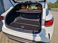 Lexus RX 450h + E-FOUR Executive Line ACC FLA HUD Blanco - thumbnail 13