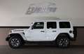 Jeep Wrangler 2.0Unlimited Sahara/SHZ/LHZ/RFK/AHK/R18 Weiß - thumbnail 3