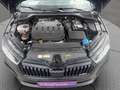 Skoda Octavia RS 4x4 Schwarz - thumbnail 19