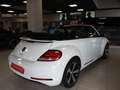 Volkswagen Beetle Cabriolet 1.2 TSI BMT Weiß - thumbnail 7