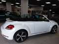 Volkswagen Beetle Cabriolet 1.2 TSI BMT Weiß - thumbnail 3
