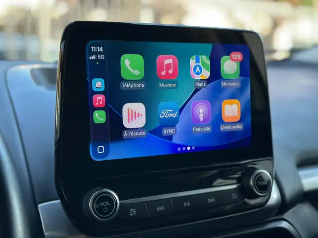 Ford Ecosport view 12