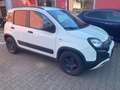 Fiat Panda Waze-City-Cross-1.2. Start-Stop-Klima-PDC- Weiß - thumbnail 3