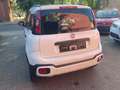 Fiat Panda Waze-City-Cross-1.2. Start-Stop-Klima-PDC- Weiß - thumbnail 6
