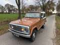 Jeep Commando 5.0 V8 Automaat Super origineel 1973 Brun - thumbnail 12