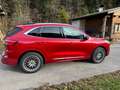 Ford Kuga Hybrid Vignale - thumbnail 3