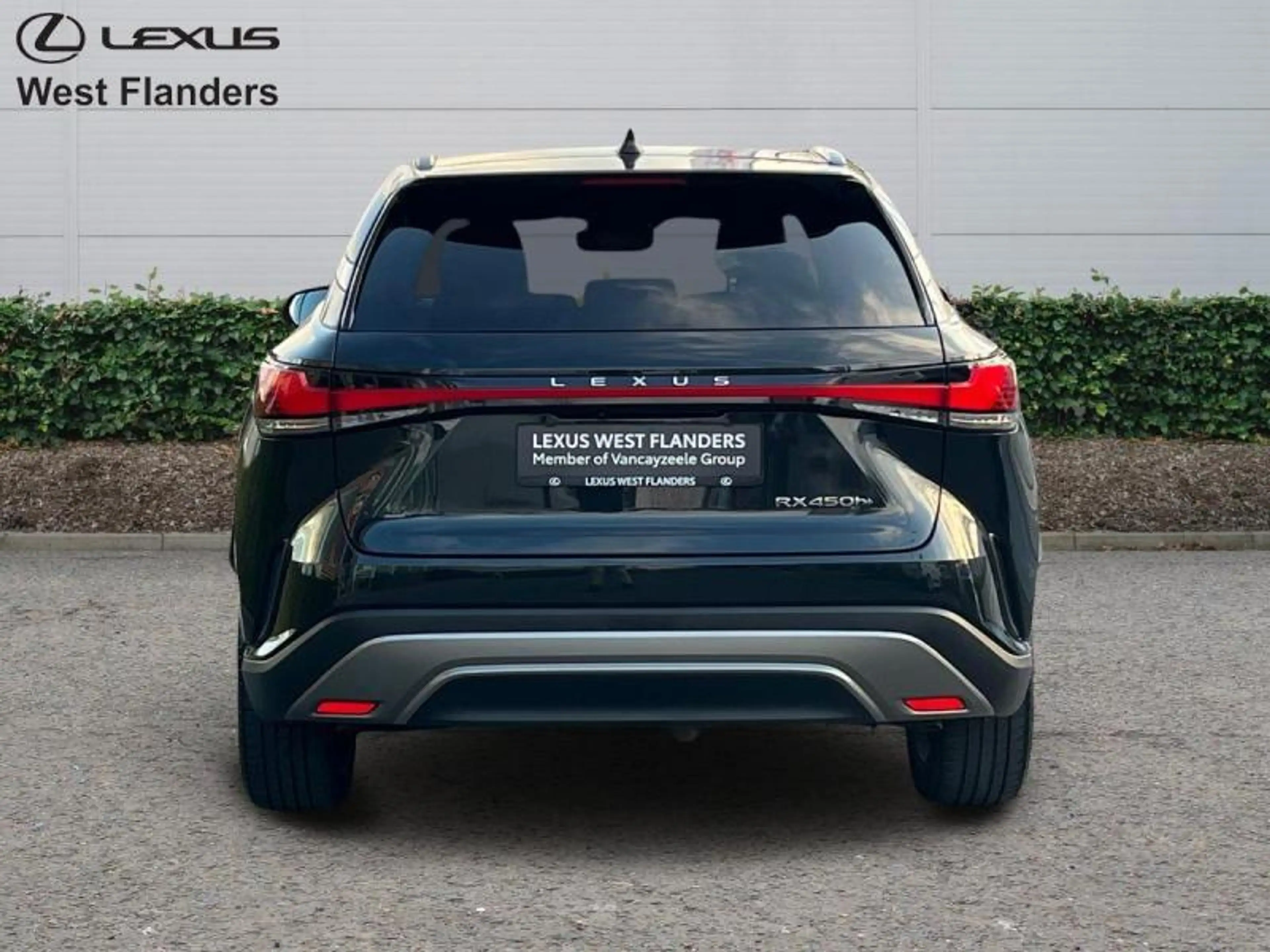 Lexus RX 450h Executive Line 4X4+cam+GPS+sens V+A — photo 6