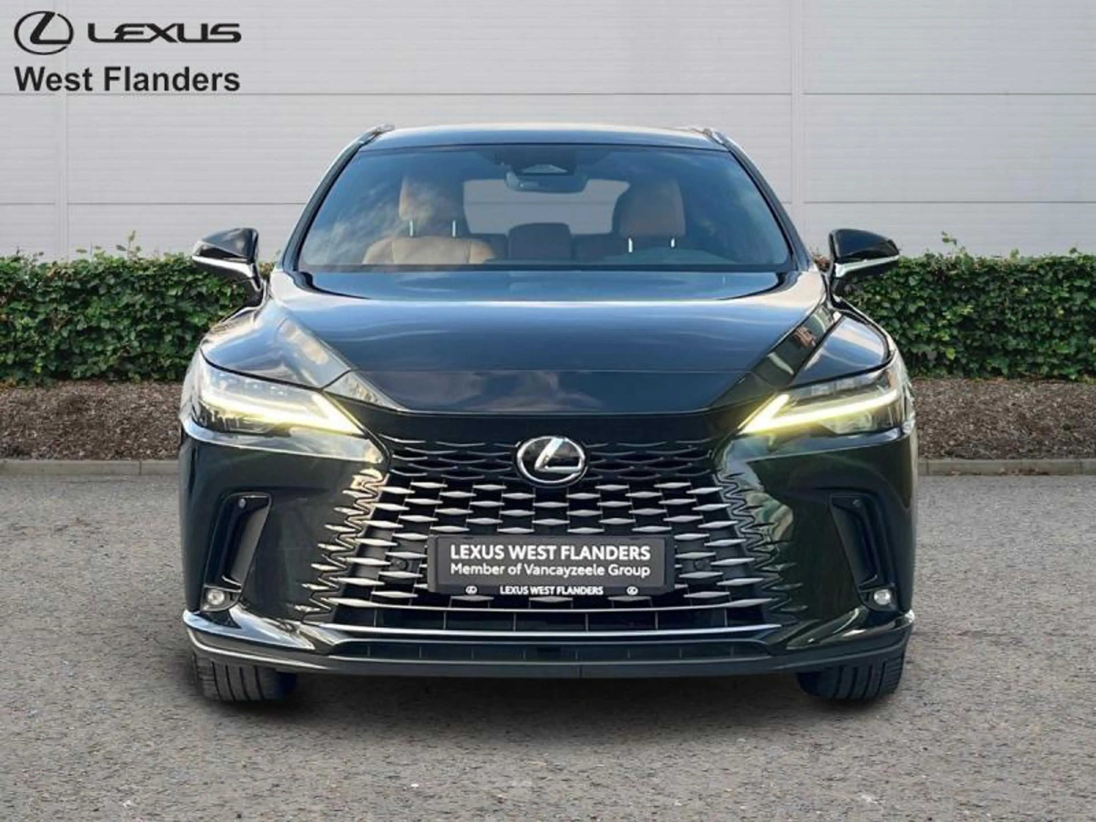 Lexus RX 450h Executive Line 4X4+cam+GPS+sens V+A — photo 2