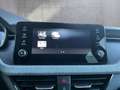 Skoda Kamiq Selection TSI DSG Grau - thumbnail 18