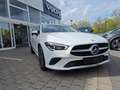 Mercedes-Benz CL A Shooting Brake (BM 118)(06.2019- ) d (118.603) Blanco - thumbnail 18