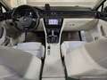 Volkswagen Passat Highline 2,0 TDI DSG Braun - thumbnail 9