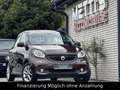 smart forFour Passion*Panorama*LED*AHK*Alus*Top Marrón - thumbnail 4